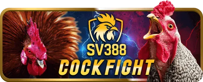 Ưu đãi chào mừng Subet Casino